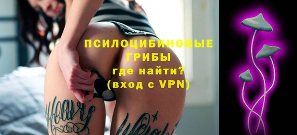 ПСИЛОЦИБИНОВЫЕ ГРИБЫ Алексин