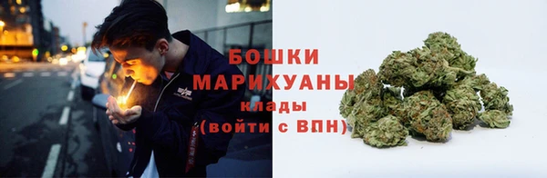 ПСИЛОЦИБИНОВЫЕ ГРИБЫ Алексин