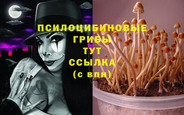 ПСИЛОЦИБИНОВЫЕ ГРИБЫ Алексин