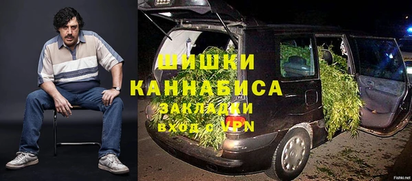 ПСИЛОЦИБИНОВЫЕ ГРИБЫ Алексин
